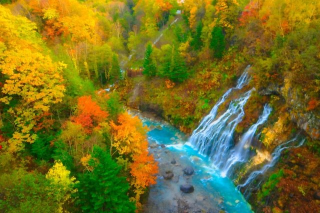 Shirohige Waterfall and Autumn Leaves