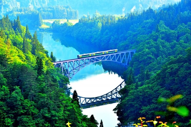 Fresh green Tadami Line